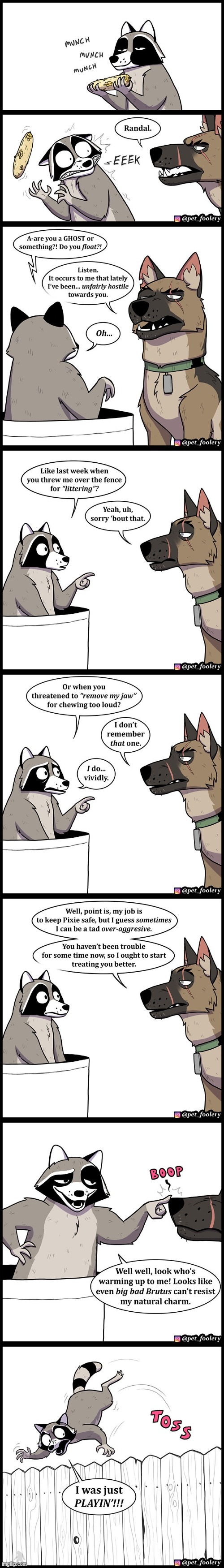 image tagged in racoon,dog,aggressive,respect,boop,toss | made w/ Imgflip meme maker