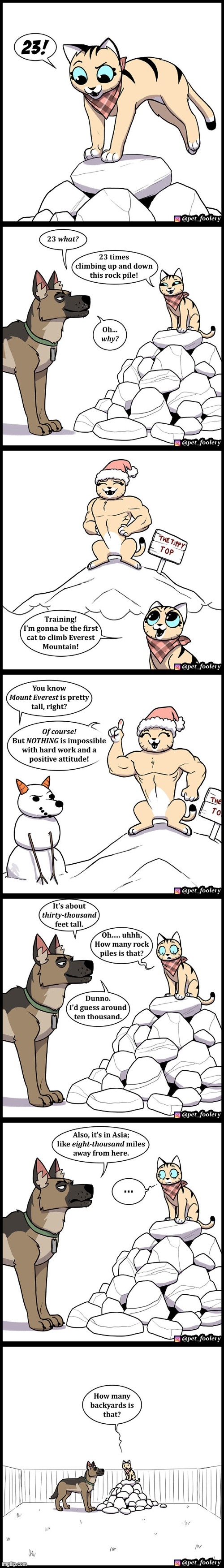 image tagged in dog,cat,training,mount everest,big,oof | made w/ Imgflip meme maker