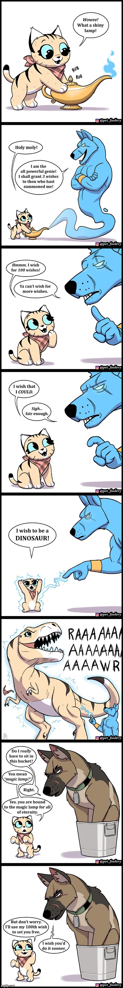 image tagged in cat,lamp,genie,dog,bucket,oof | made w/ Imgflip meme maker