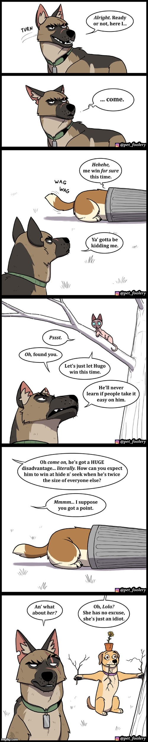 image tagged in dog,hide and seek,cat,dogs,hiding,idiot | made w/ Imgflip meme maker