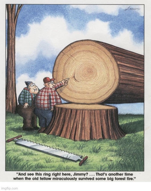The death of a tree… | image tagged in the far side,comics,tree,cut down,tree rings,death | made w/ Imgflip meme maker