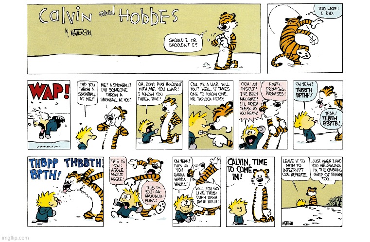 image tagged in calvin and hobbes,comics | made w/ Imgflip meme maker