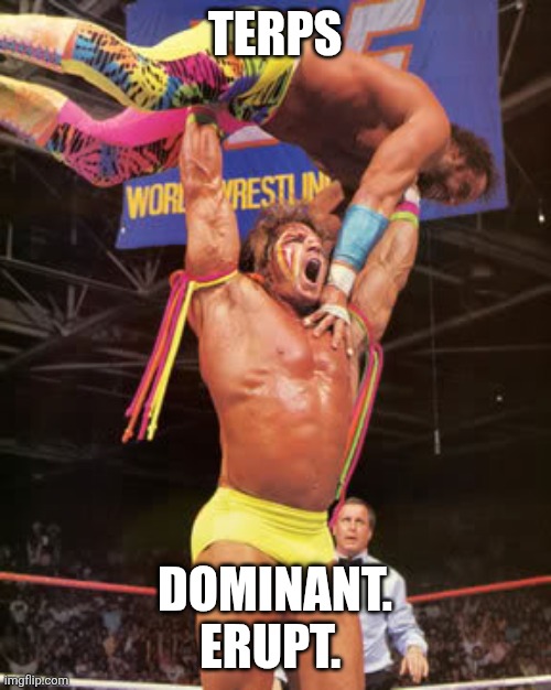 slammin' | TERPS; DOMINANT.
ERUPT. | image tagged in slammin' | made w/ Imgflip meme maker