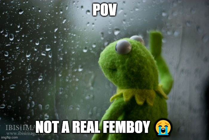 kermit window | POV; NOT A REAL FEMBOY 😭 | image tagged in kermit window | made w/ Imgflip meme maker