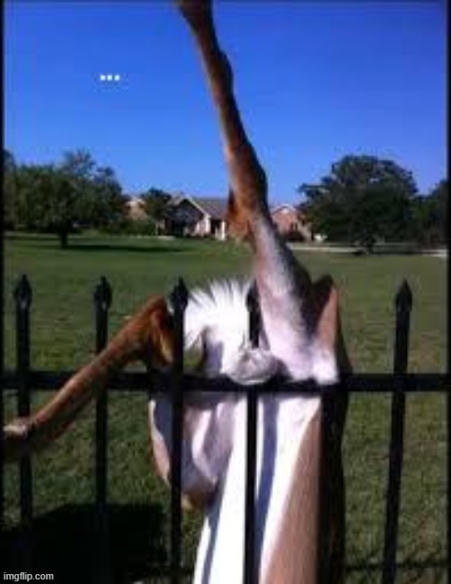 oops! | made w/ Imgflip meme maker