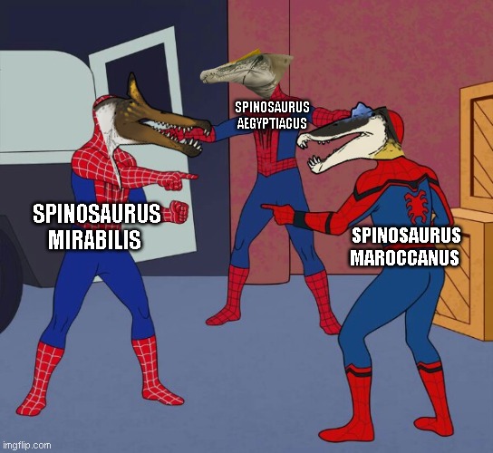 we got three spinosaurus species | SPINOSAURUS AEGYPTIACUS; SPINOSAURUS MIRABILIS; SPINOSAURUS MAROCCANUS | image tagged in spider man triple,paleomeme,spinosaurus,dinosaur,paleontology,new discovery | made w/ Imgflip meme maker