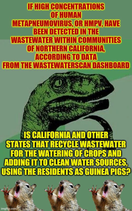 Are We Being Used As Guinea Pigs? | IF HIGH CONCENTRATIONS OF HUMAN METAPNEUMOVIRUS, OR HMPV, HAVE BEEN DETECTED IN THE WASTEWATER WITHIN COMMUNITIES OF NORTHERN CALIFORNIA, ACCORDING TO DATA FROM THE WASTEWATERSCAN DASHBOARD; IS CALIFORNIA AND OTHER STATES THAT RECYCLE WASTEWATER FOR THE WATERING OF CROPS AND ADDING IT TO CLEAN WATER SOURCES, USING THE RESIDENTS AS GUINEA PIGS? | image tagged in raptor asking questions,illness,found,recycle,politics,memes | made w/ Imgflip meme maker