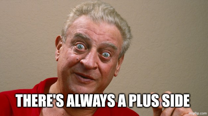 Rodney Dangerfield | THERE'S ALWAYS A PLUS SIDE | image tagged in rodney dangerfield | made w/ Imgflip meme maker