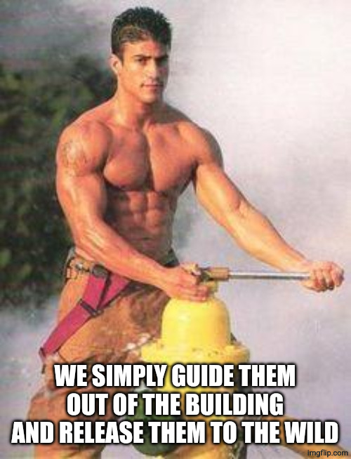 Sexy Fireman | WE SIMPLY GUIDE THEM OUT OF THE BUILDING AND RELEASE THEM TO THE WILD | image tagged in sexy fireman | made w/ Imgflip meme maker