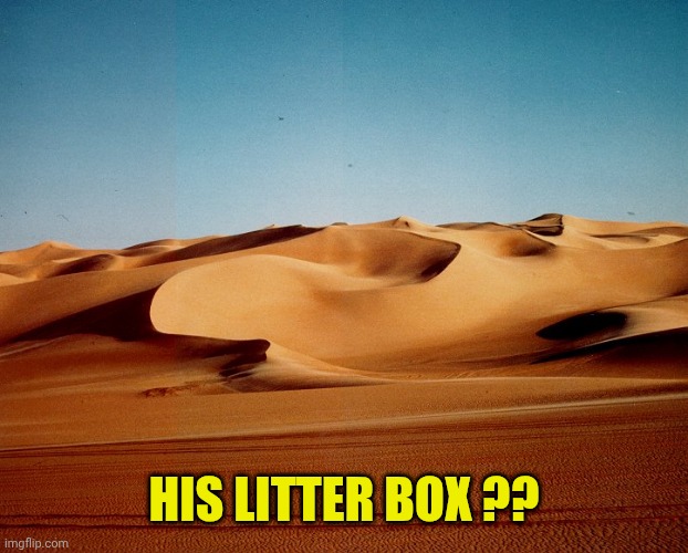 Sahara desert | HIS LITTER BOX ?? | image tagged in sahara desert | made w/ Imgflip meme maker