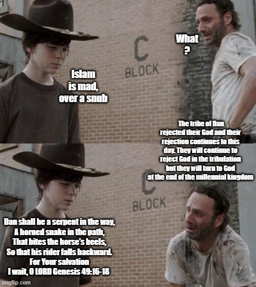 The tribe is missing from the list of tribes in Revelation 7:4-8. A dude in the 7th century got mad. | What ? Islam is mad, over a snub; The tribe of Dan rejected their God and their rejection continues to this day. They will continue to reject God in the tribulation but they will turn to God at the end of the millennial kingdom; Dan shall be a serpent in the way,
A horned snake in the path,
That bites the horse’s heels,
So that his rider falls backward.
For Your salvation I wait, O LORD Genesis 49:16-18 | image tagged in memes,rick and carl | made w/ Imgflip meme maker