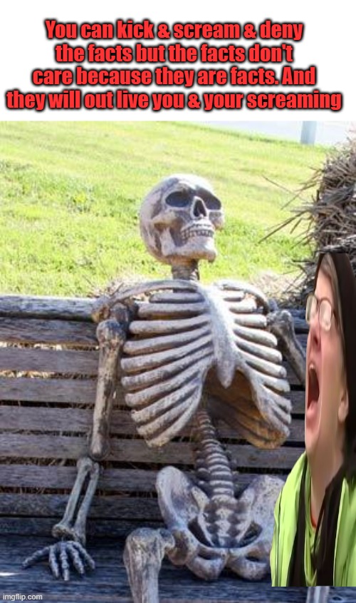God is not happy when you lie. And you will be held responsible for those lies in the end. | You can kick & scream & deny the facts but the facts don't care because they are facts. And they will out live you & your screaming | image tagged in memes,waiting skeleton | made w/ Imgflip meme maker