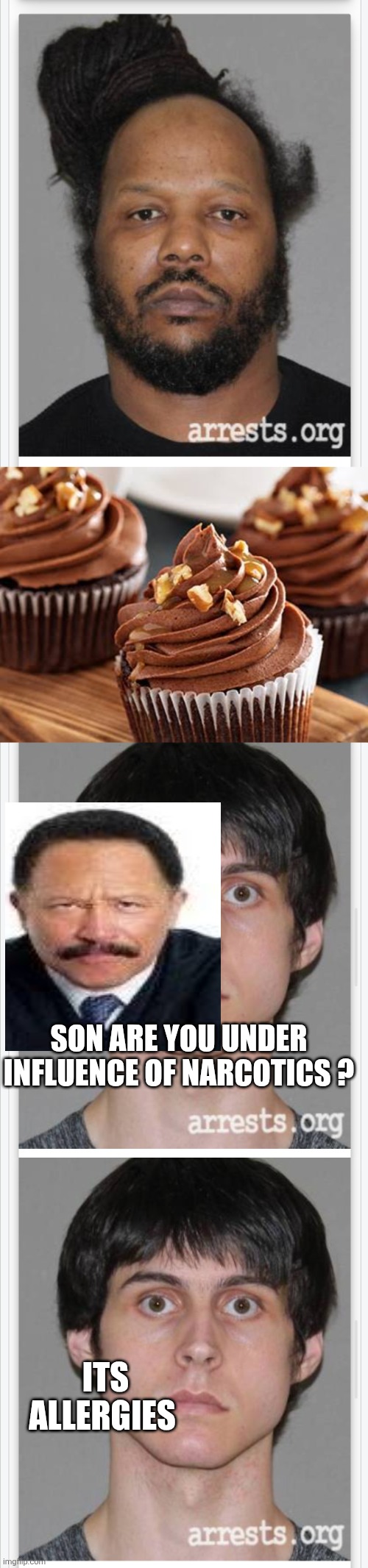 Cup cake and methematician parody | SON ARE YOU UNDER INFLUENCE OF NARCOTICS ? ITS ALLERGIES | image tagged in wtf | made w/ Imgflip meme maker