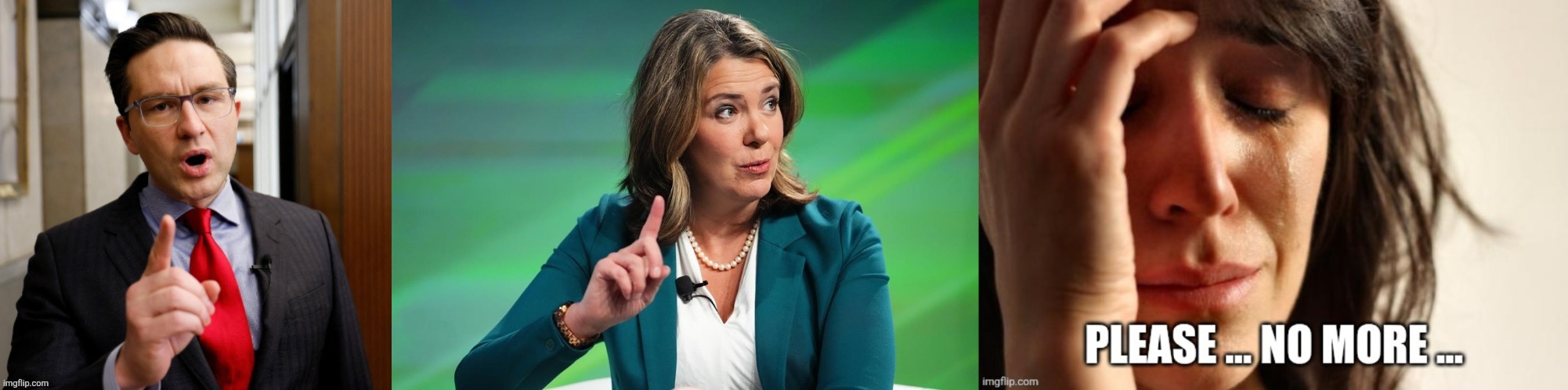 Canadian politics | image tagged in political meme | made w/ Imgflip meme maker