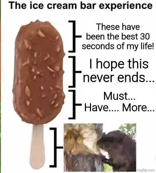 It's all fun and games until you hit the stick with your teeth | These have been the best 30 seconds of my life! I hope this never ends... Must... Have.... More... | image tagged in memes,funny,funny memes,meme,funny meme | made w/ Imgflip meme maker