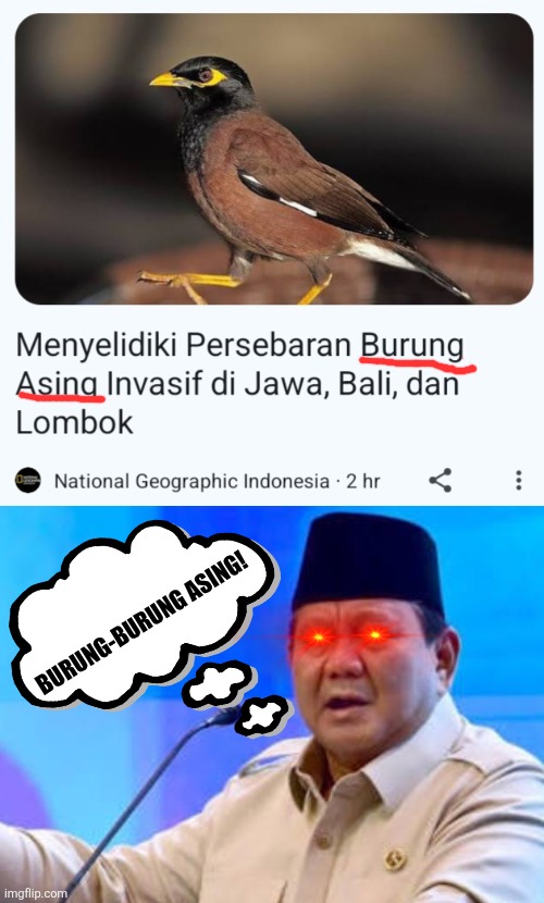 BURUNG-BURUNG ASING! | image tagged in memes,foreign,birds | made w/ Imgflip meme maker