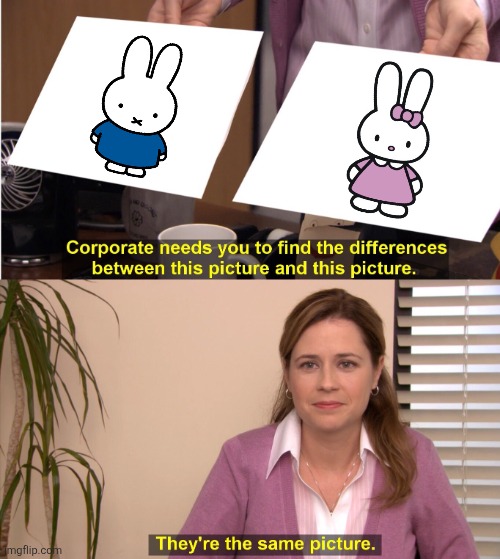 Miffy vs Cathy | image tagged in memes,they're the same picture,miffy,cathy,similarities,sanrio | made w/ Imgflip meme maker