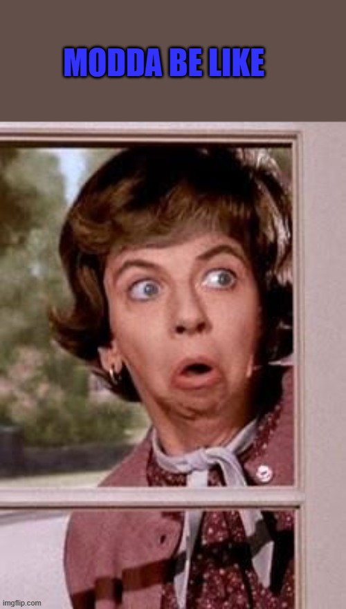 Gladys Kravitz invented block watch | MODDA BE LIKE | made w/ Imgflip meme maker