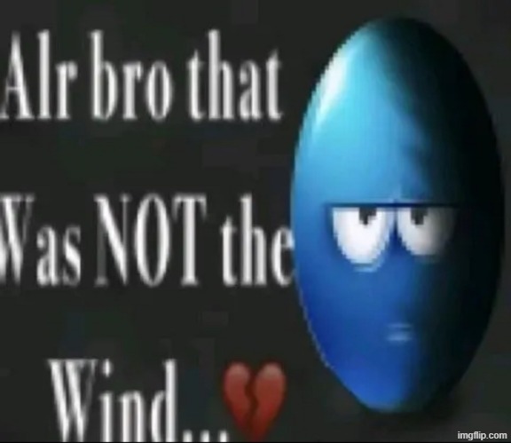 Alr bro that was NOT the wind…</3 | image tagged in alr bro that was not the wind /3 | made w/ Imgflip meme maker