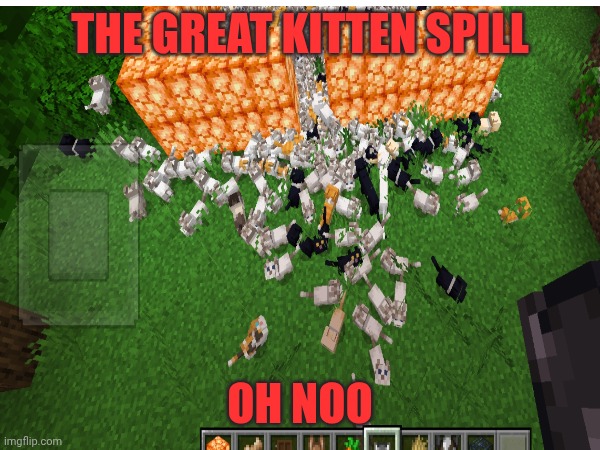 Kitten spill Blank Meme Template