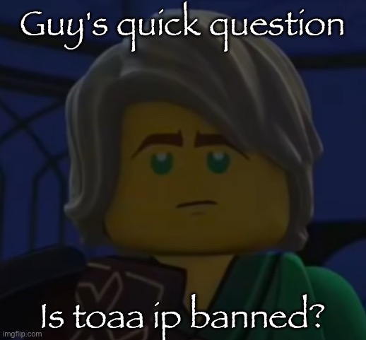 Hello, Cole | Guy's quick question; Is toaa ip banned? | image tagged in hello cole | made w/ Imgflip meme maker