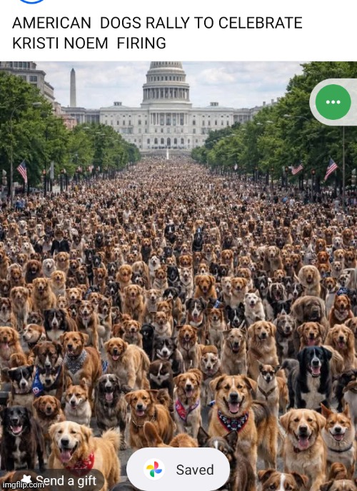 Noem | image tagged in noem,dog killer | made w/ Imgflip meme maker