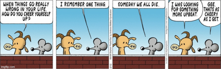Pearls Before Swine | image tagged in comics | made w/ Imgflip meme maker
