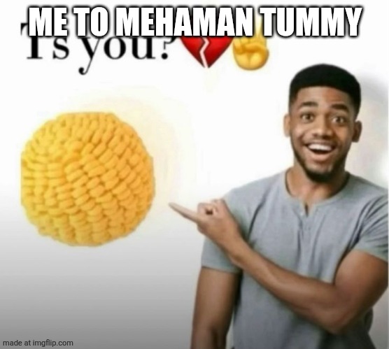 I misspelt megaman | ME TO MEHAMAN TUMMY | image tagged in ts you | made w/ Imgflip meme maker
