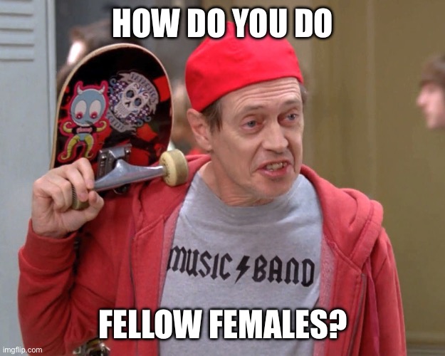 Steve Buscemi Fellow Kids | HOW DO YOU DO; FELLOW FEMALES? | image tagged in steve buscemi fellow kids | made w/ Imgflip meme maker