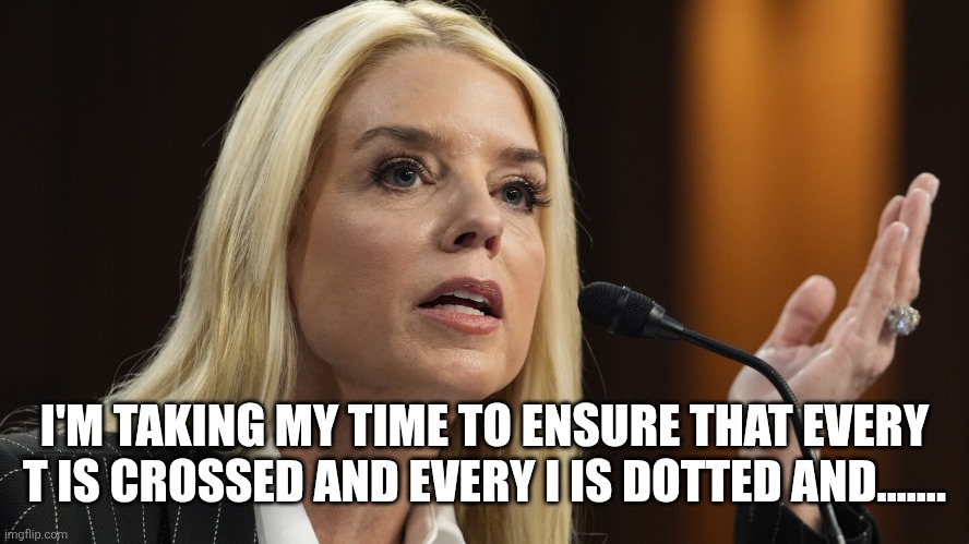 I'M TAKING MY TIME TO ENSURE THAT EVERY T IS CROSSED AND EVERY I IS DOTTED AND....... | image tagged in pam bondi dog ate my homework | made w/ Imgflip meme maker