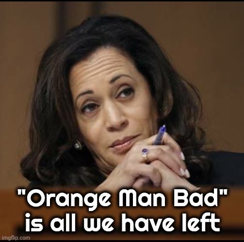 Kamala Harris  | "Orange Man Bad" is all we have left | image tagged in kamala harris | made w/ Imgflip meme maker