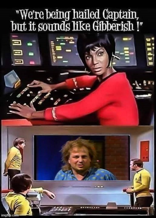 Bobcat in the 24th C | image tagged in star trek uhura sounds like gibberish | made w/ Imgflip meme maker