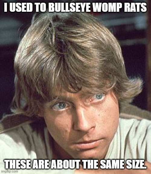 I USED TO BULLSEYE WOMP RATS THESE ARE ABOUT THE SAME SIZE. | image tagged in luke skywalker - i care | made w/ Imgflip meme maker
