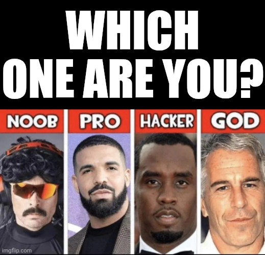 I'm probably idk actually. | WHICH ONE ARE YOU? | image tagged in noob pro hacker god pedos | made w/ Imgflip meme maker