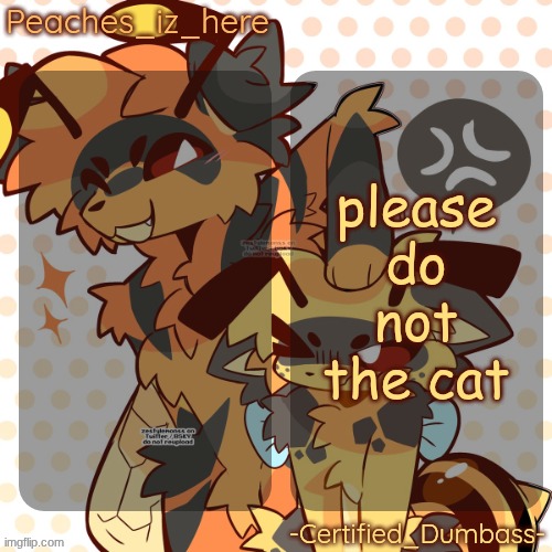 mother and rat shared temp | please do not the cat | image tagged in mother and rat shared temp | made w/ Imgflip meme maker