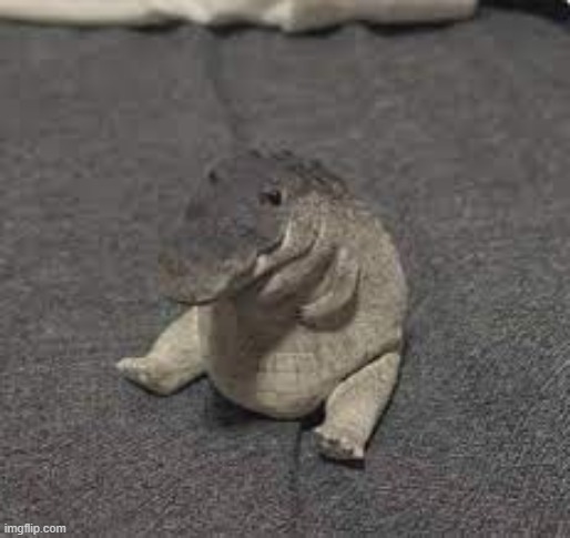 Greg | image tagged in greg | made w/ Imgflip meme maker