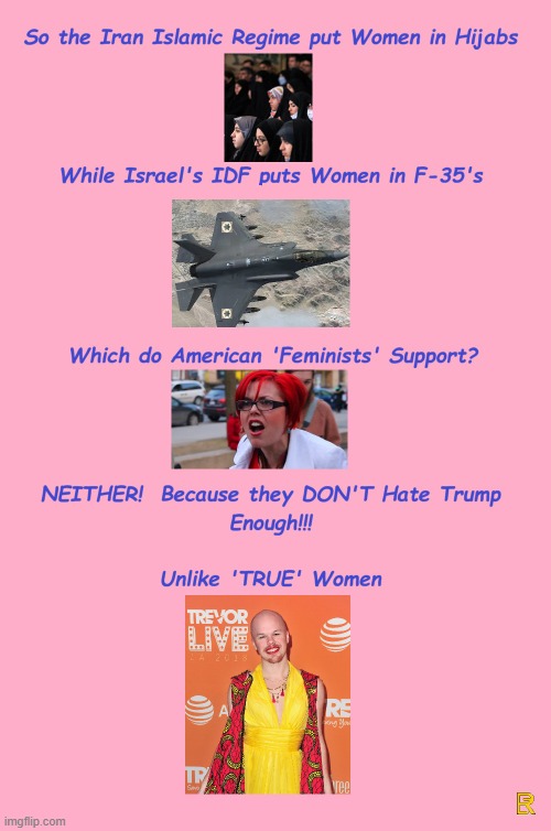 "Feminist" POV | image tagged in feminists,spot the difference,empowerment | made w/ Imgflip meme maker