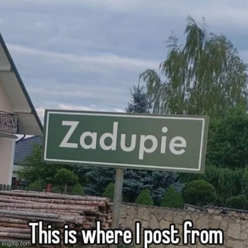 I can translate if you want.. I guess... | image tagged in polish | made w/ Imgflip meme maker