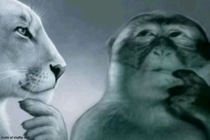 should i change my new username to be an element | image tagged in lion and monkey thinking | made w/ Imgflip meme maker