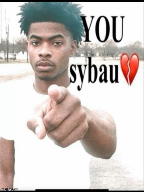 You sybau | image tagged in you sybau | made w/ Imgflip meme maker