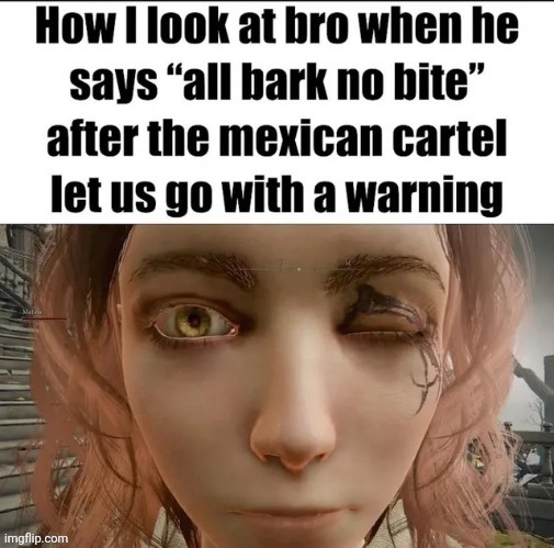 made w/ Imgflip meme maker