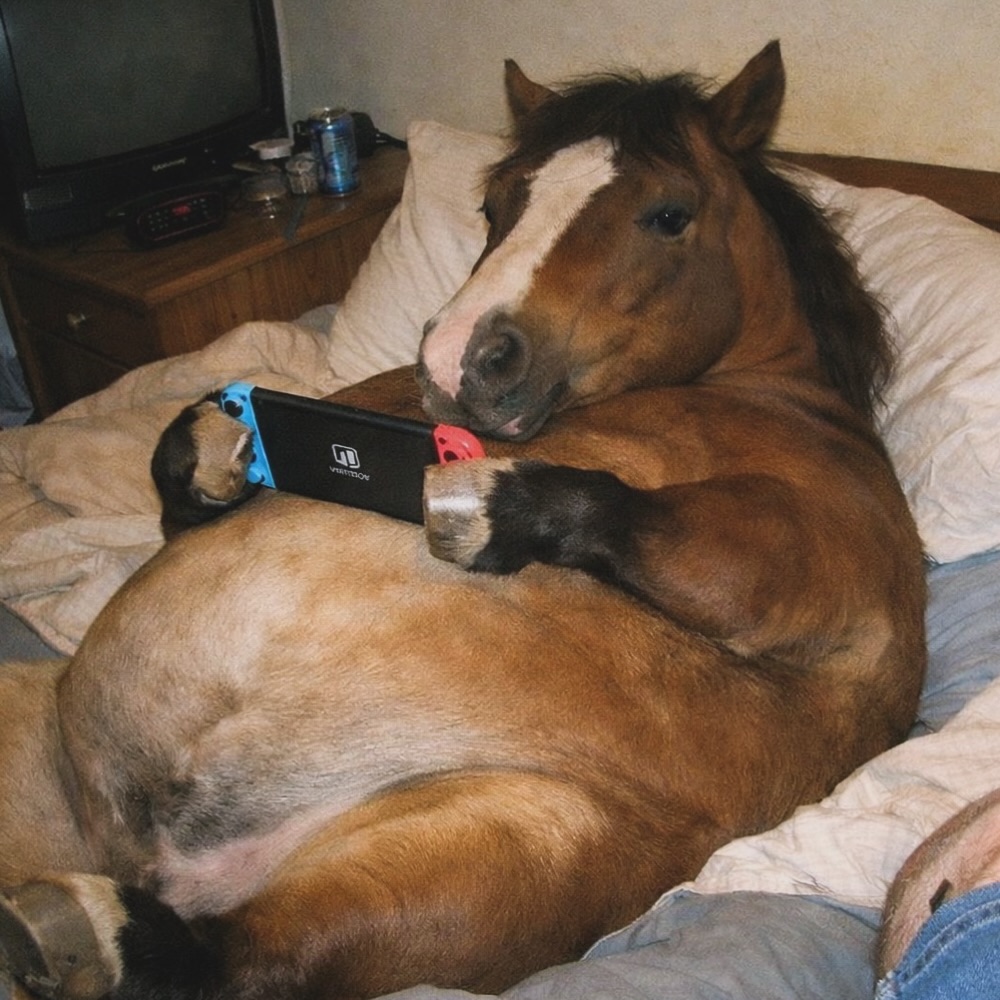 Fat Horse Blank Meme Template