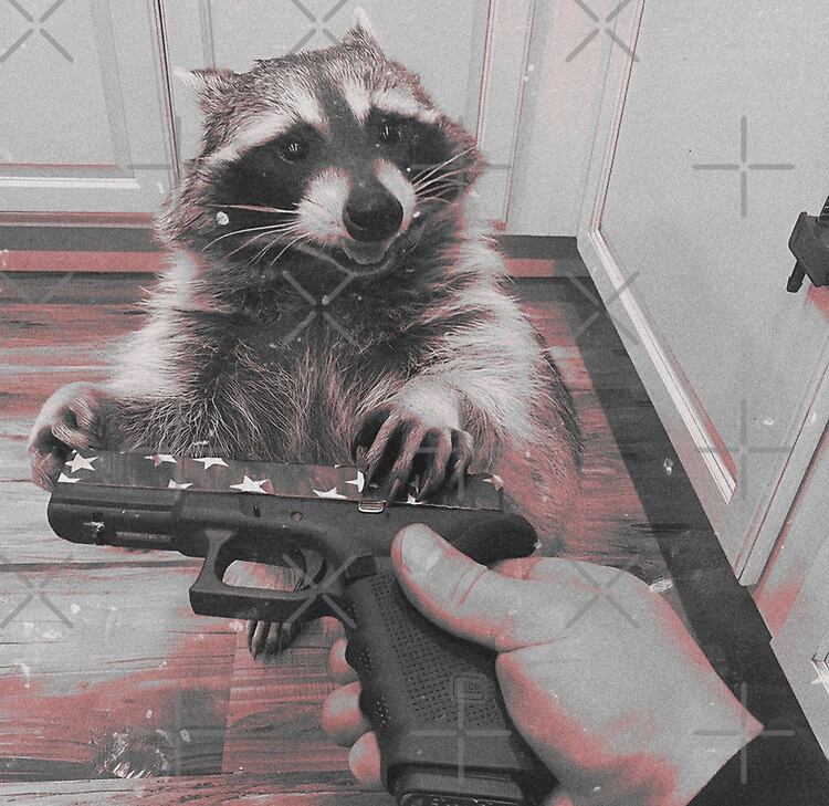 Racoon Blank Meme Template