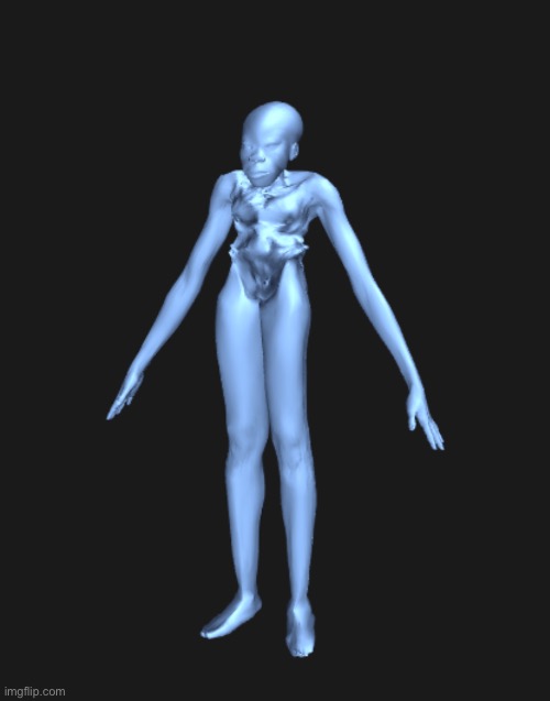 made this gem with https://bodyvisualizer.is.tue.mpg.de/ | made w/ Imgflip meme maker