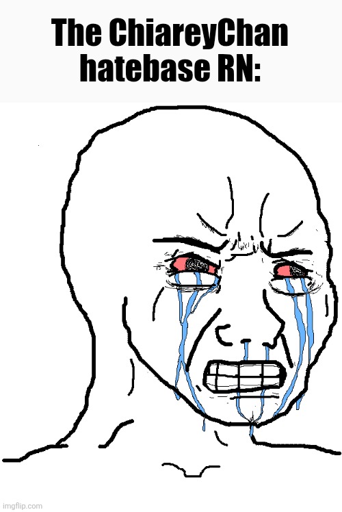 The ChiareyChan hatebase RN: | image tagged in cry wojak | made w/ Imgflip meme maker