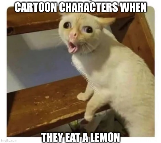 Coughing Cat | CARTOON CHARACTERS WHEN; THEY EAT A LEMON | image tagged in coughing cat | made w/ Imgflip meme maker