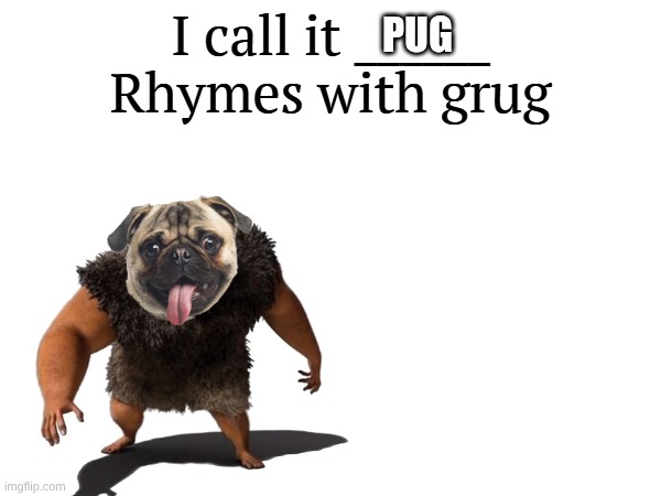 I call it _____ | PUG | image tagged in i call it _____ | made w/ Imgflip meme maker