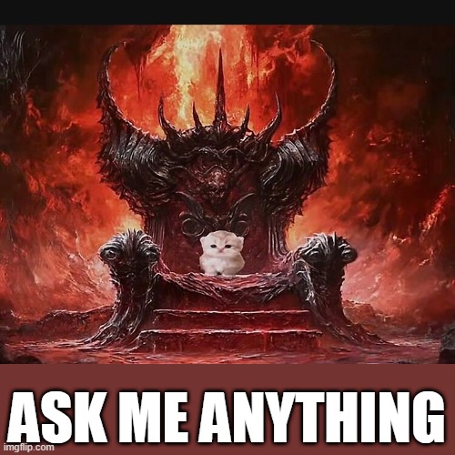 Rawr | ASK ME ANYTHING | image tagged in kitty throne | made w/ Imgflip meme maker