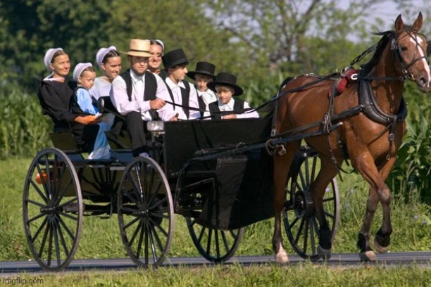 Amish for trump | image tagged in amish for trump | made w/ Imgflip meme maker