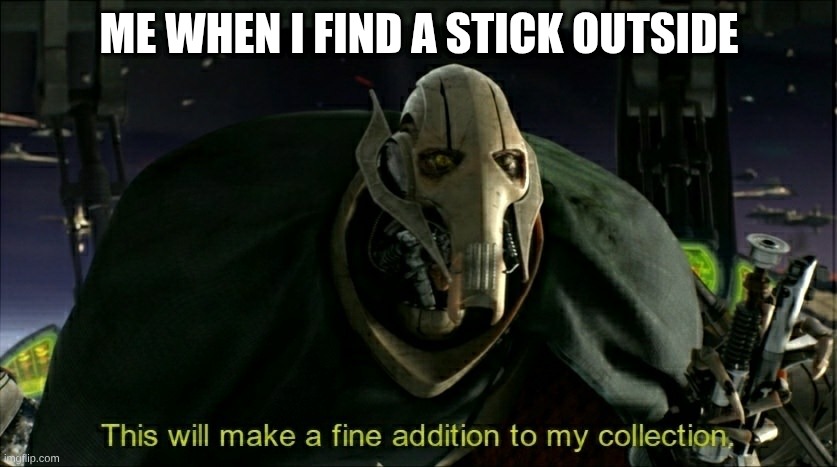 This will make a fine addition to my collection | ME WHEN I FIND A STICK OUTSIDE | image tagged in this will make a fine addition to my collection | made w/ Imgflip meme maker